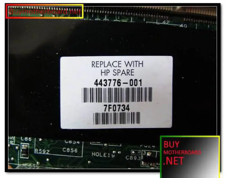 hovedkort 443776-001 for HP pavilion DV6000
